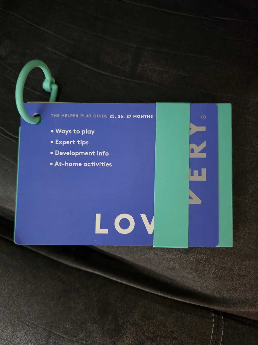 LOVEVERY Play Guide - Blue & Teal Baby Activity Cards The Helper - Months 25-27